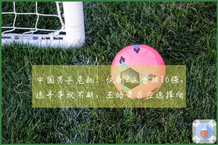 中国男乒危机！仅剩2人晋级16强，选手争议不断，王皓是否应选择向鹏？