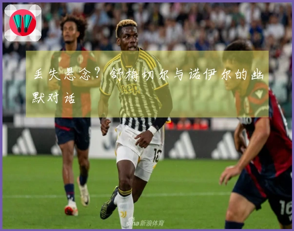 丢失悬念？舒梅切尔与诺伊尔的幽默对话