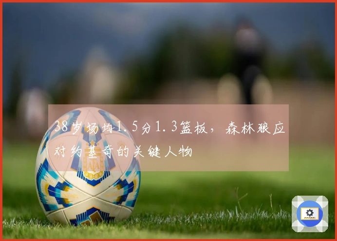 38岁场均1.5分1.3篮板，森林狼应对约基奇的关键人物