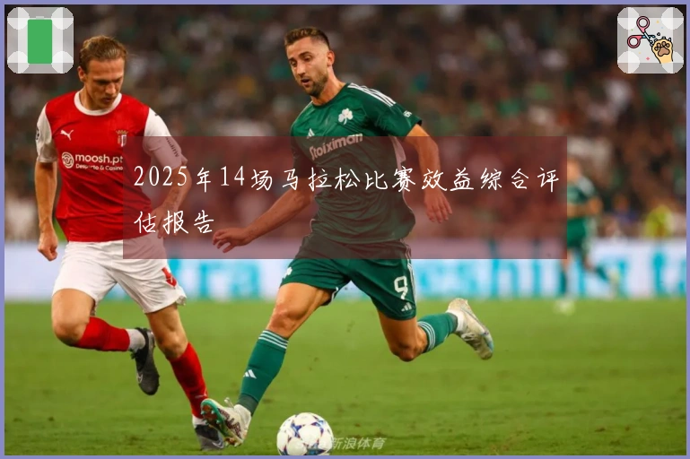 2025年14场马拉松比赛效益综合评估报告