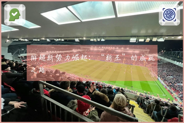 排超新势力崛起：“新王”的成就之路