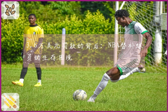 3.6万美元罚款的背后：NBA替补球员的生存困境
