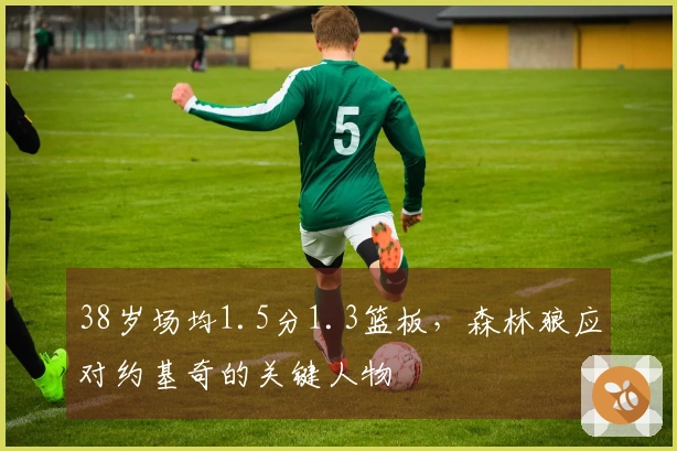 38岁场均1.5分1.3篮板，森林狼应对约基奇的关键人物